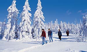 Winterurlaub im Bayer. Wald